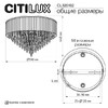 Миниатюра фото потолочная люстра citilux leonna cl320192 | 220svet.ru